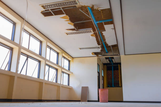 Best Flood restoration services  in West Richland, WA