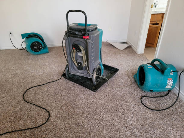 Best Mold removal after water damage  in West Richland, WA