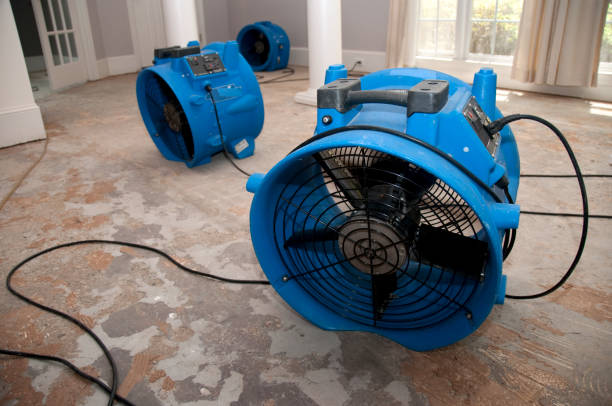 Best Basement water damage restoration  in West Richland, WA