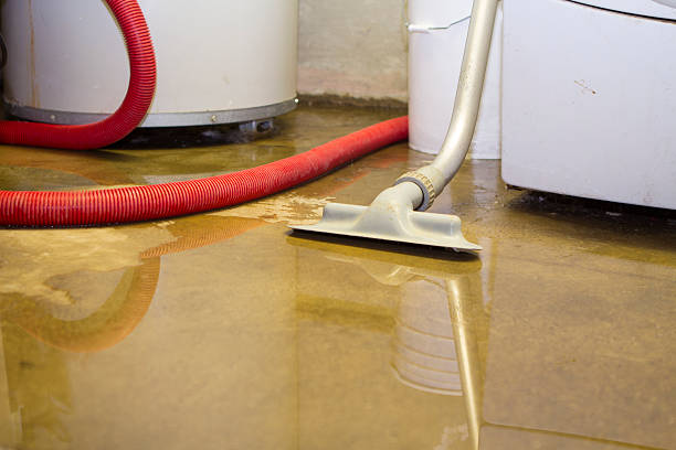 Reliable West Richland, WA Water damage restoration Solutions
