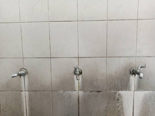 Best Local water damage restoration  in West Richland, WA