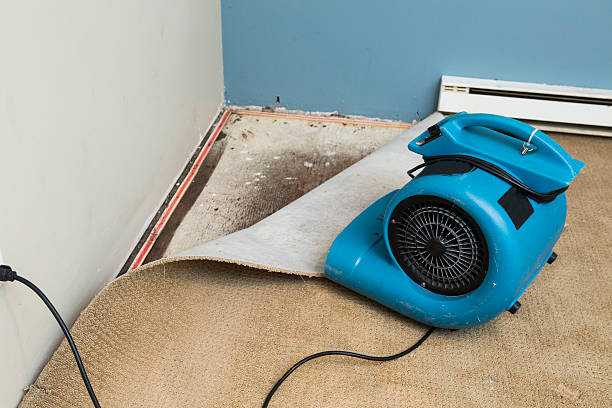  West Richland, WA Water damage restoration Pros